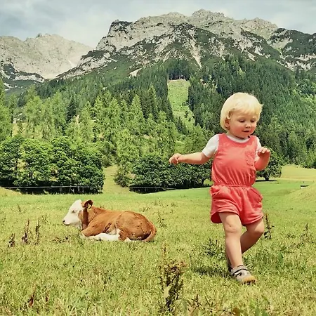 Penzion Bio Feistererhof - Gastehaus - Charmant Naturlich Seit 1448 Ramsau am Dachstein