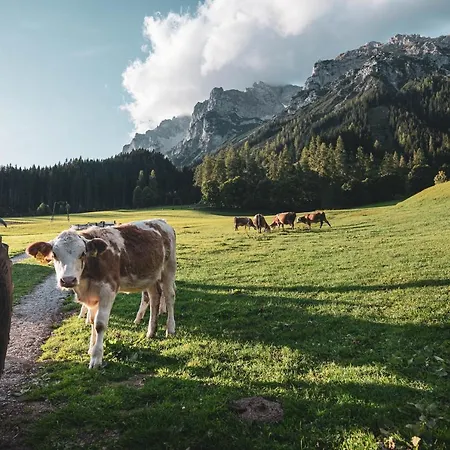 Bio Feistererhof - Gastehaus - Charmant Naturlich Seit 1448 Ramsau am Dachstein
