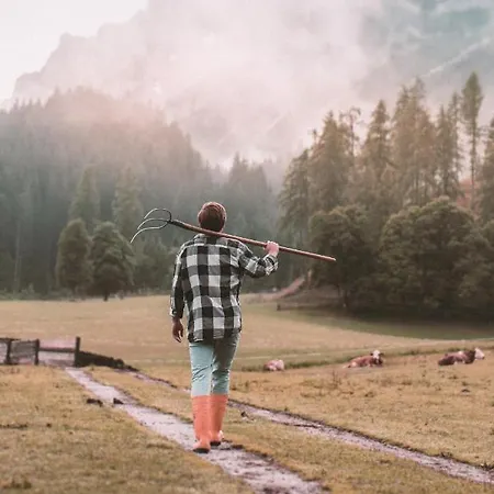 Penzion Bio Feistererhof - Gastehaus - Charmant Naturlich Seit 1448 Ramsau am Dachstein